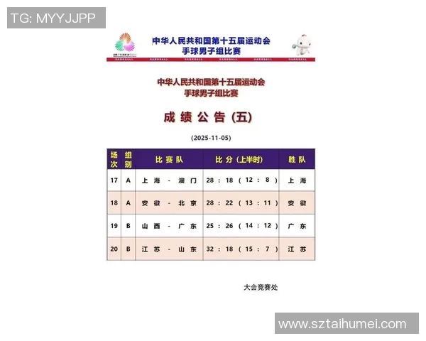 全球手球体育明星最新排名及其成就分析图解